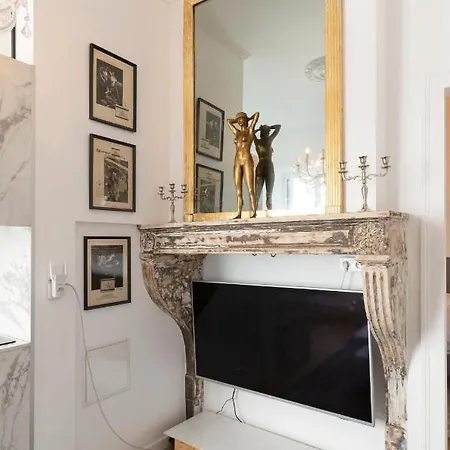 Le Precieux De Nicolas Apartment Nancy