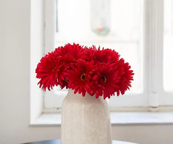 Apartmán Le Precieux De Nicolas